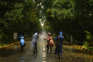 asghar-noor-mohammadi-6